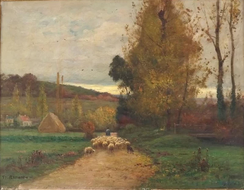 Paesaggio con pecore